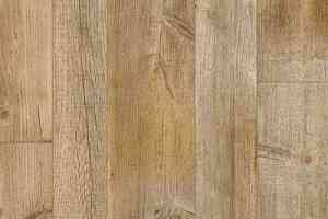 Линолеум Juteks Liberty HUNTER 3_616M фото  | FLOORDEALER